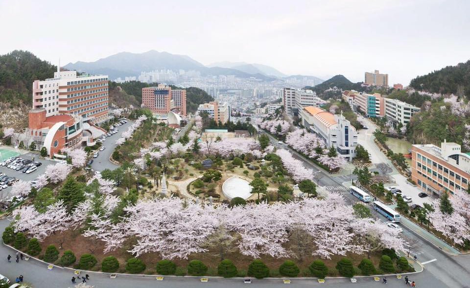 Toàn cảnh trường đại học Dong-eui