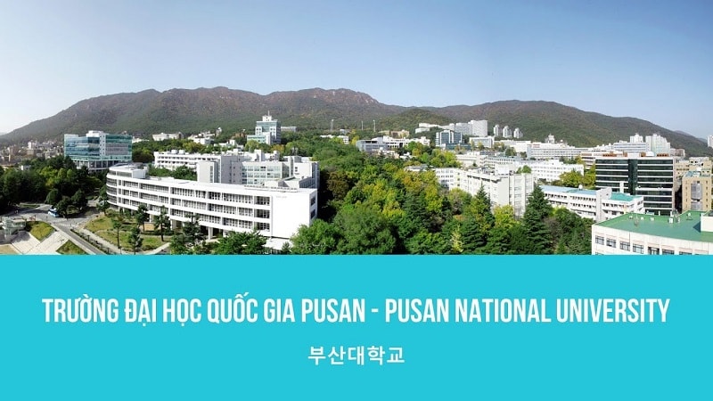 Đại học Pusan