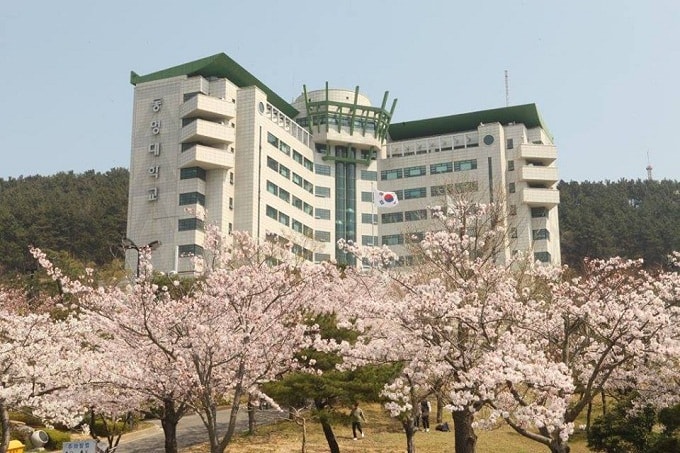 Mùa xuân tại trường đại học Tongmyong