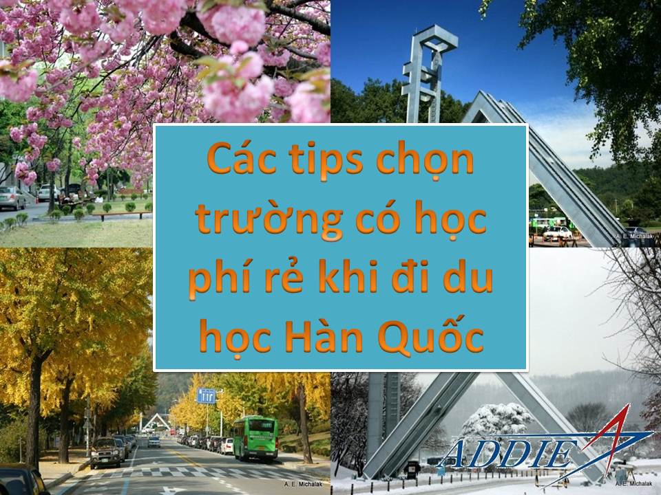 cac tips chon truong hoc phi re